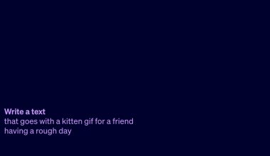 Texte alternatif: "Consignes pour texte avec gif chaton.