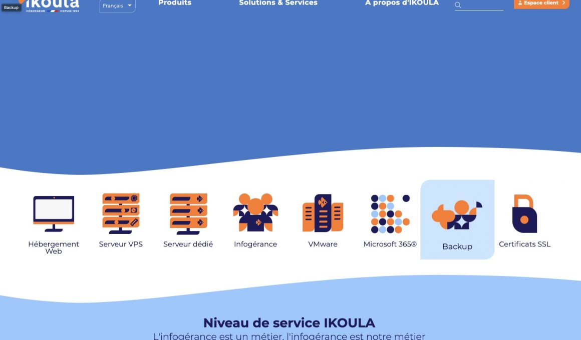 Capture d'écran services d'hébergement IKOULA.