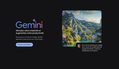 Logo Gemini et paysage des Gorges du Verdon.