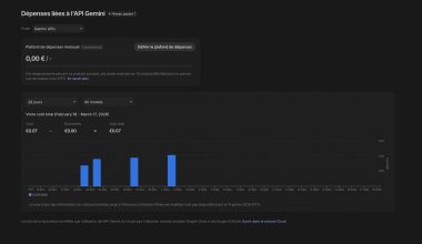 Dépenses de l'API Gemini affichées.